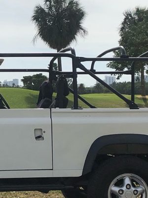 Safety Devices Roll Cage