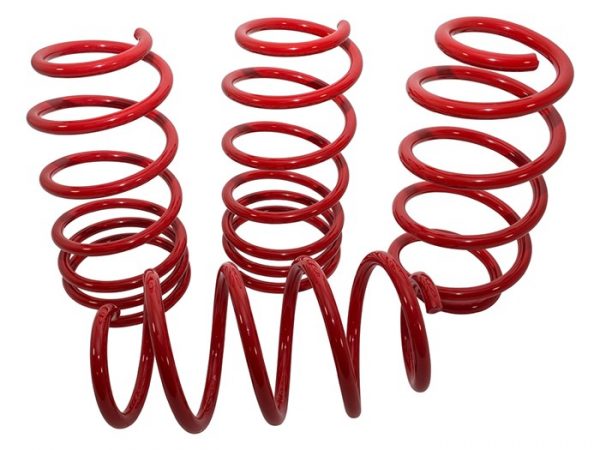 Lowering Spring Set