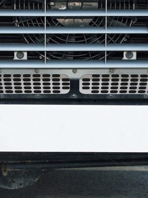 Lower Grille