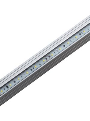 Nebula 12V LED Strip Light