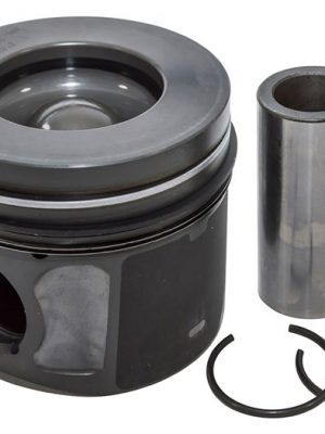 Piston & Ring Set