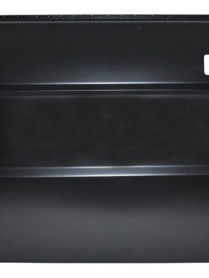Land Rover Discovery 1 (From MA163103) Front Door Outer Skin (LHS)  ALR5823