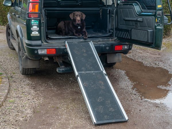 4X4 & COMMERICAL FOLD ABLE LUGGAGE / LOAD DOG RAMP - DA1631 - Image 3