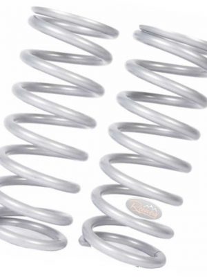 Land Rover Discovery 2 - TERRAFIRMA Front +2" Heavy Load Coil Springs  - TF052